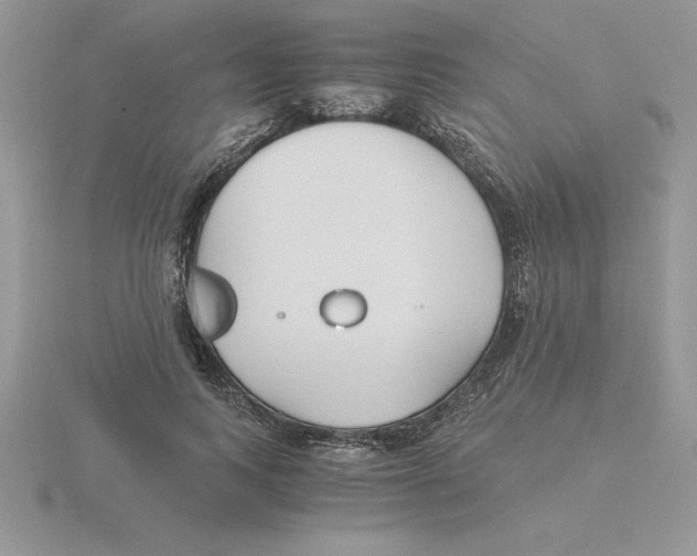 X0000115820743200912111251