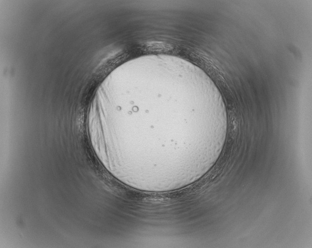 X0000115820745200912111251