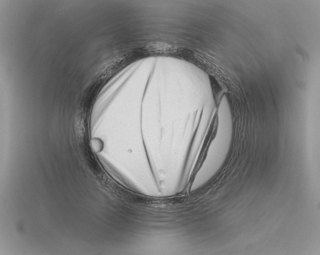 X0000115820746200912111251