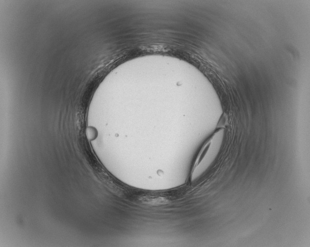 X0000115820747200912111251