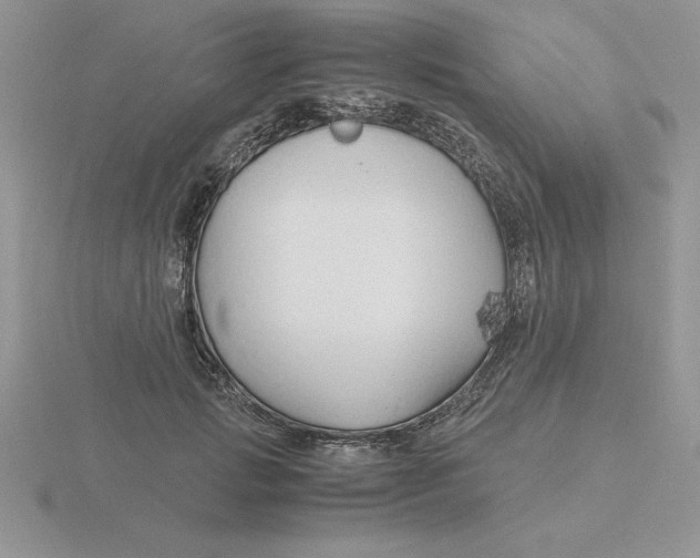 X0000115820749200912111251