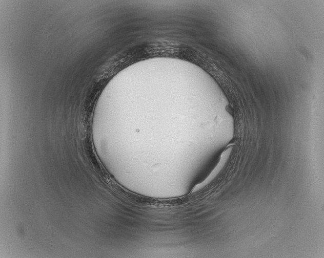 X0000115820751200912111251