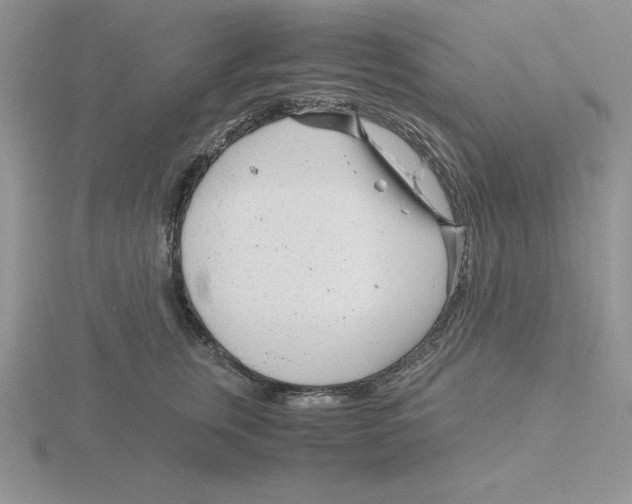 X0000115820759200912111251