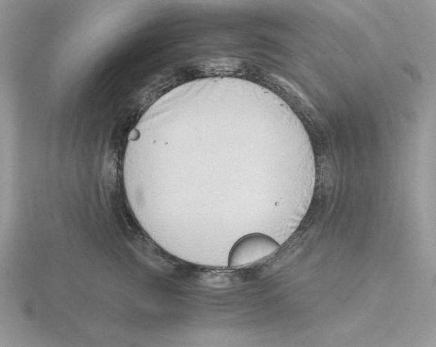 X0000115820761200912111251