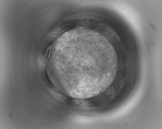 X0000115820766200912111251