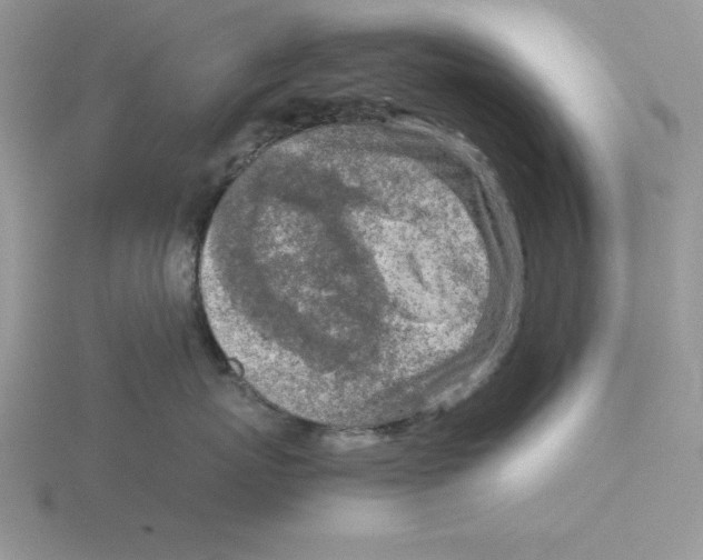 X0000115820767200912111251