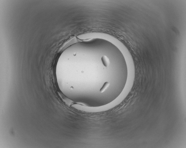 X0000115820769200912111250