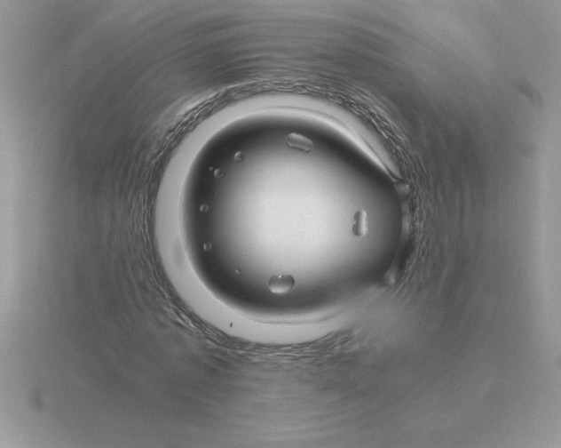 X0000115820773200912111250