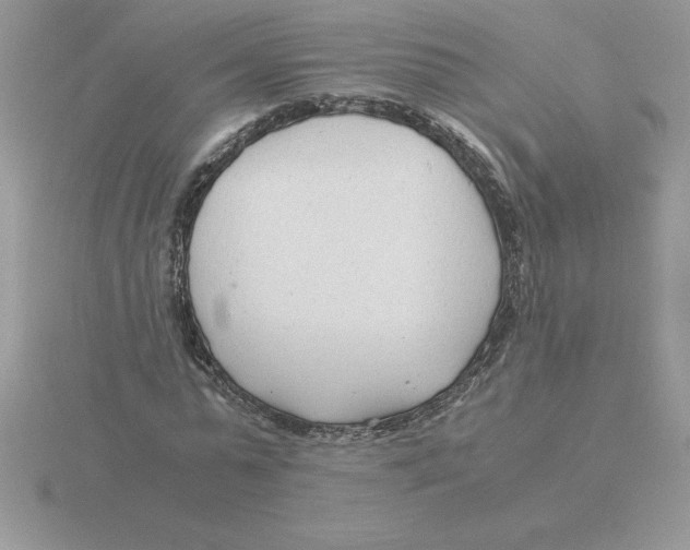 X0000115820775200912111250