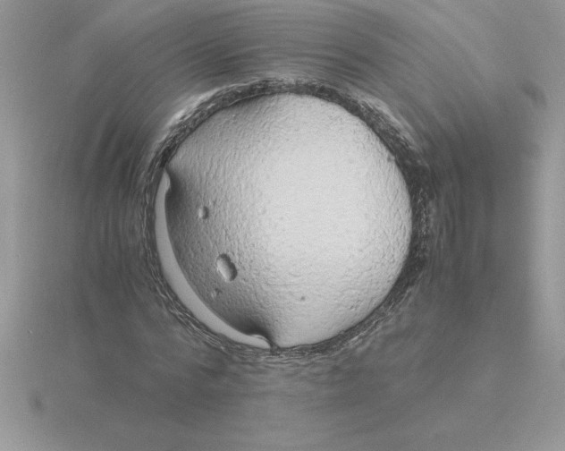 X0000115820776200912111250