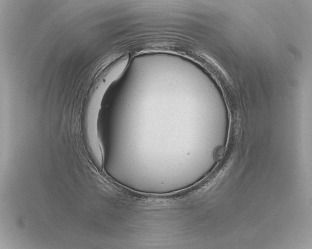 X0000115820777200912111250