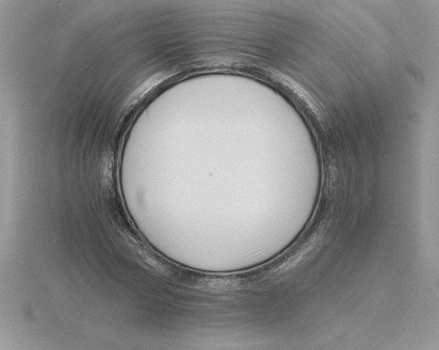 X0000115820778200912111250