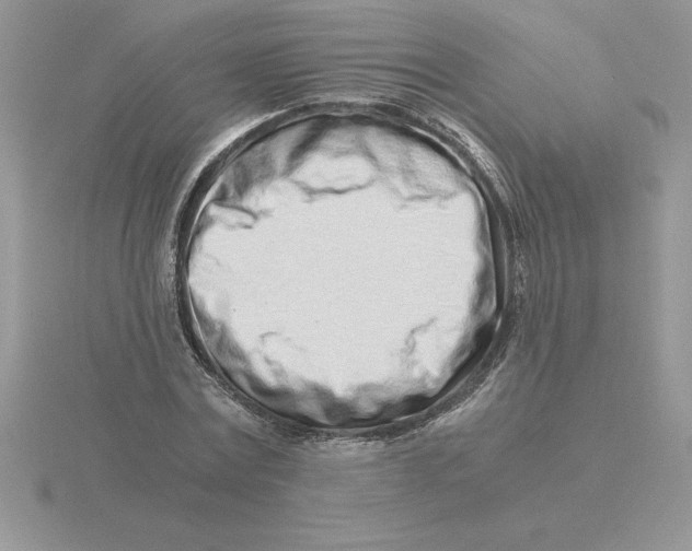 X0000115820779200912111250