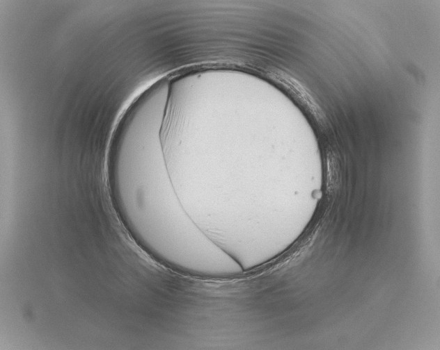 X0000115820780200912111250