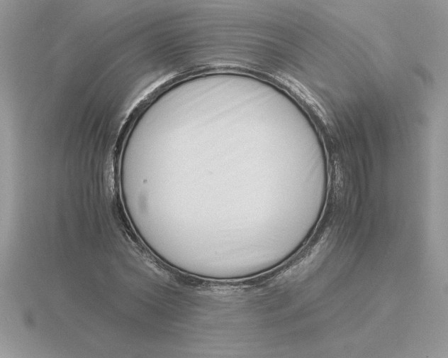 X0000115820782200912111250