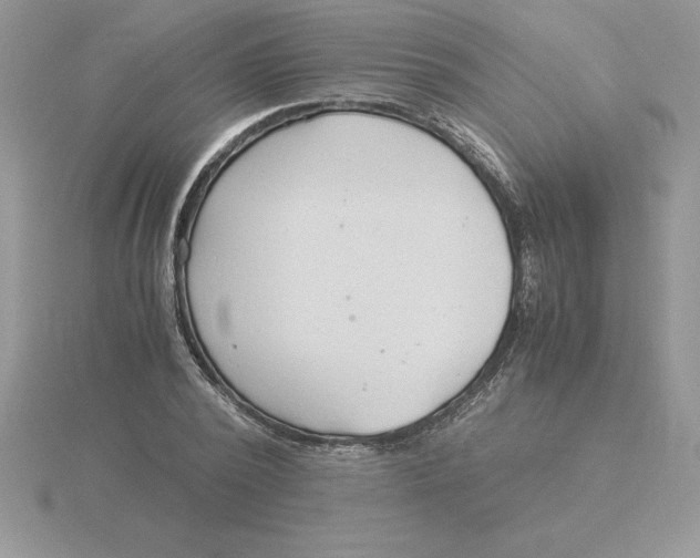 X0000115820784200912111250