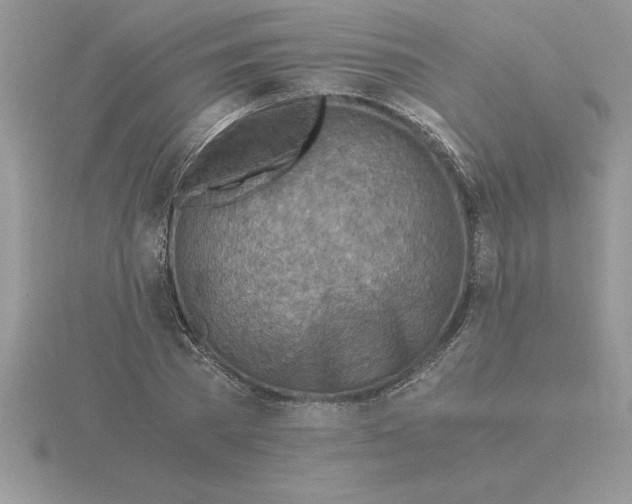 X0000115820785200912111250