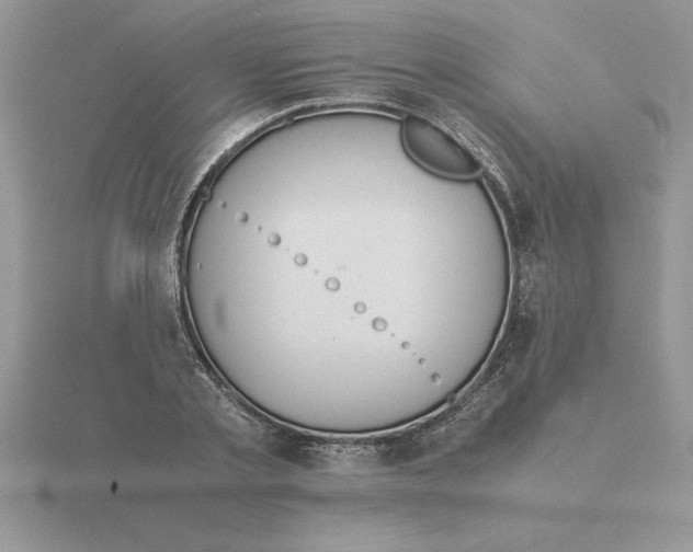 X0000115820789200912111250