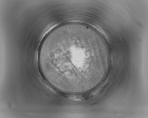 X0000115820790200912111250