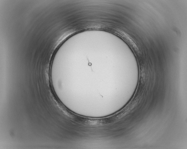 X0000115820794200912111250