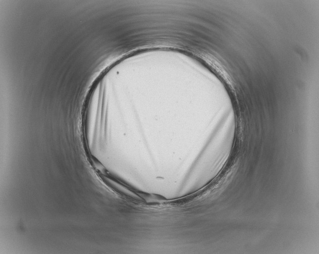 X0000115820797200912111250