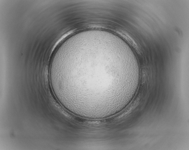 X0000115820798200912111250