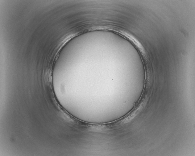 X0000115820809200912111250