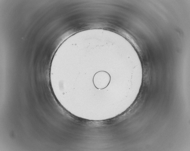 X0000115820810200912111250