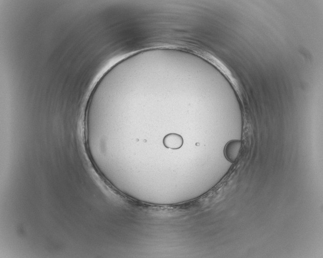 X0000115820811200912111250