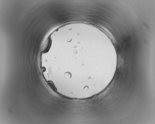 X0000115820812200912111250