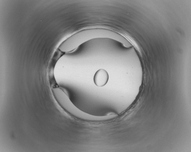 X0000115820813200912111250