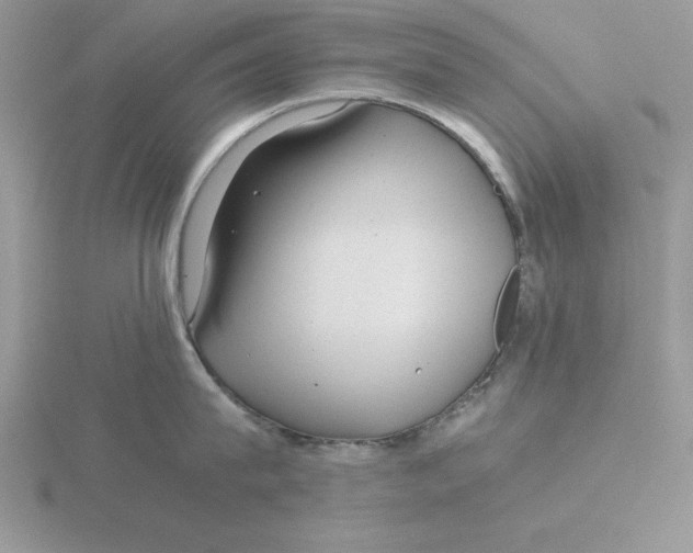 X0000115820815200912111250