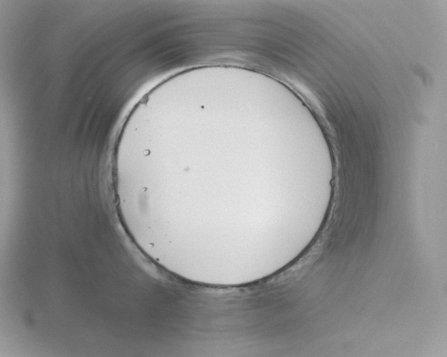 X0000115820816200912111250