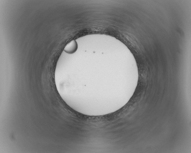 X0000115820817200912111249