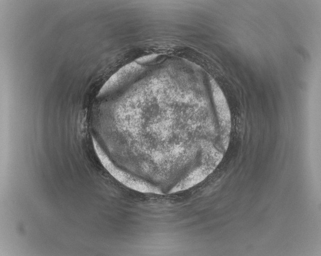 X0000115820818200912111249