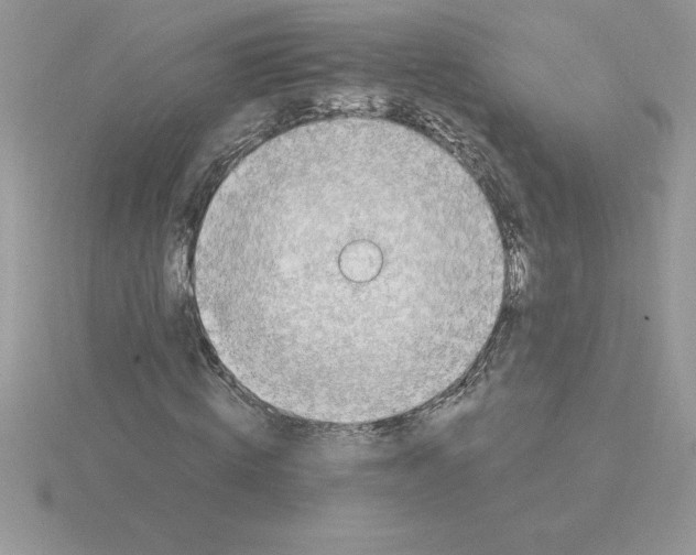 X0000115820820200912111249