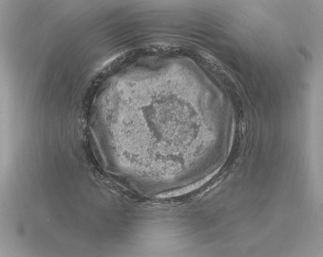 X0000115820822200912111249