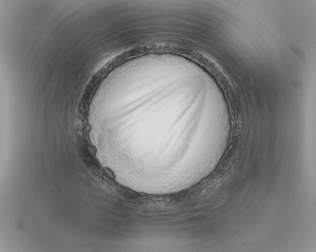 X0000115820823200912111249