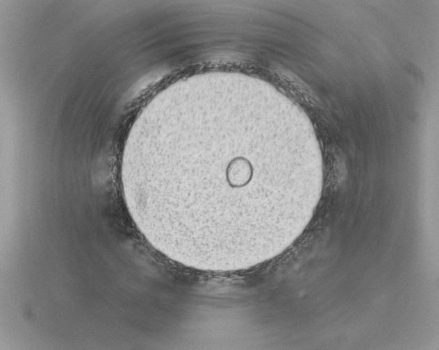 X0000115820824200912111249