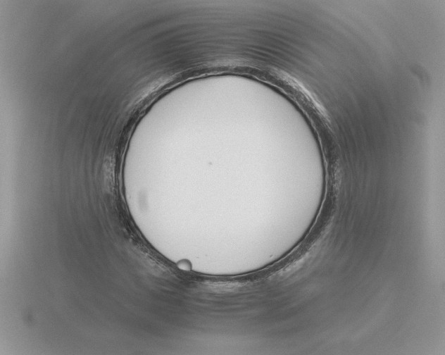 X0000115820825200912111249