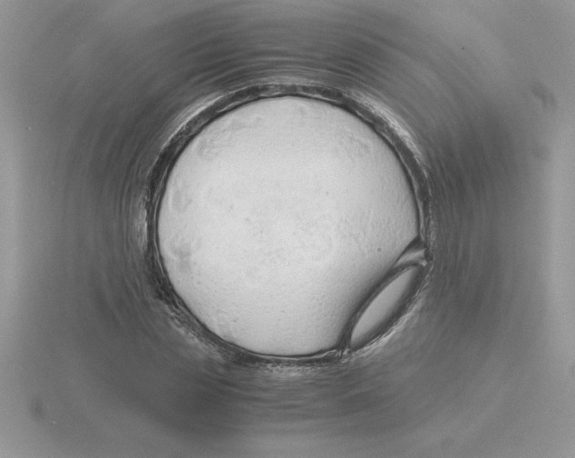 X0000115820829200912111249