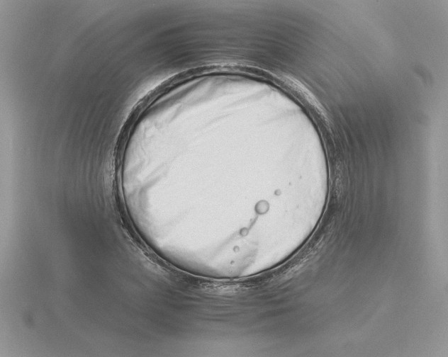 X0000115820831200912111249