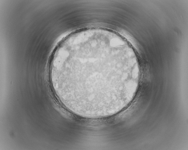 X0000115820832200912111249