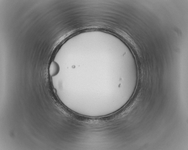 X0000115820834200912111249