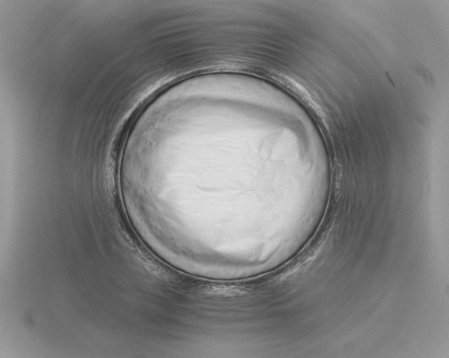 X0000115820835200912111249