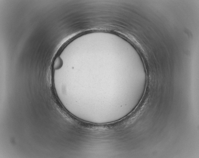 X0000115820838200912111249