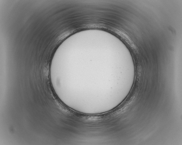 X0000115820841200912111249