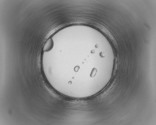 X0000115820842200912111249