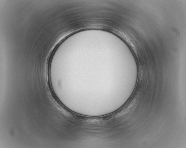 X0000115820843200912111249