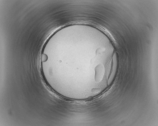 X0000115820844200912111249